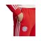 adidas FC Bayern München Trainingshose Rot - rot