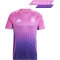 adidas DFB Deutschland Trikot Away EM 2024 Pink - pink
