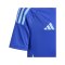 adidas Argentinien Trikot Away Copa America 2024 Kids Blau - blau