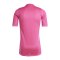 adidas Tiro 24 Pro Torwarttrikot Pink - pink
