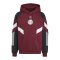 adidas Originals Ajax Amsterdam Hoody Rot - rot