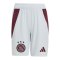 adidas Ajax Amsterdam Short 3rd 2024/2025 Kids Grau - grau