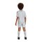 adidas Ajax Amsterdam Minikit 3rd 2024/2025 Kids Grau - grau