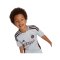 adidas Ajax Amsterdam Minikit 3rd 2024/2025 Kids Grau - grau