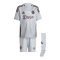 adidas Ajax Amsterdam Minikit 3rd 2024/2025 Kids Grau - grau