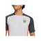adidas Benfica Lissabon Training T-Shirt Grün - gruen