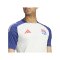 adidas Olympique Lyon Trainingsshirt Weiss - weiss