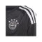adidas FC Bayern München TW-Trikot 2023/2024 Kids Schwarz - schwarz