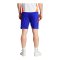 adidas Tiro 24 Competition Training Shorts Blue - blau