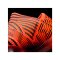 adidas SG NEMEZIZ 17+ 360Agility Rot Schwarz - rot