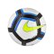 Nike Strike Team 290 Gramm Trainingsball F100 - weiss