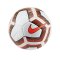 Nike Strike Pro Trainingsball Weiss F101 - weiss