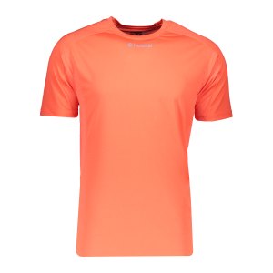 10125019-hummel-runner-tee-t-shirt-run-orange-f4127-019207-fussball-teamsport-textil-t-shirts.png