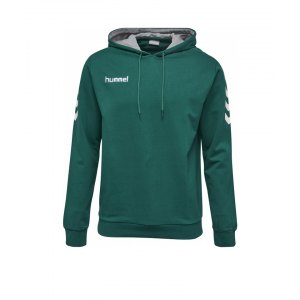 hummel-core-cotton-hoodie-gruen-f6140-herren-hoodie-kapuzenpullover-teamsport-freizeit-033451.png