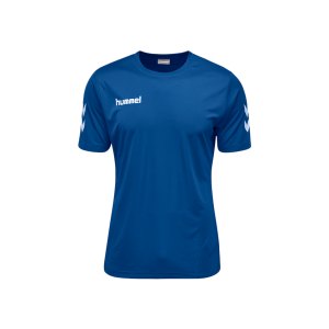 hummel-core-polyester-tee-t-shirt-blau-f7045-jersey-teamsport-mannschaften-vereine-kurzarm-shortsleeve-03756.png