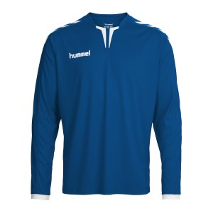 hummel-core-trikot-langarm-kids-blau-f7044-fussball-teamsport-textil-trikots-104615.png