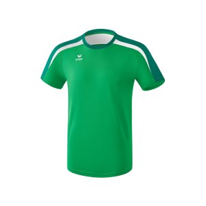erima-liga-2.0-t-shirt-gruen-weiss-teamsportbedarf-vereinskleidung-mannschaftsausruestung-oberbekleidung-1081823.png