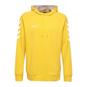 hummel-go-cotton-hoody-kapuzenpullover-f5001-fussball-teamsport-textil-sweatshirts-203508.png