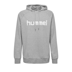10124747-hummel-cotton-logo-hoody-grau-f2006-203511-fussball-teamsport-textil-sweatshirts.png