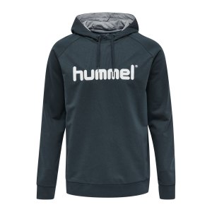 hummel-hmlgo-cotton-logo-hoody-blau-f8571-203511-teamsport_front.png