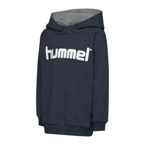 hummel-cotton-logo-hoody-kids-grau-f8571-203512-teamsport_front.png