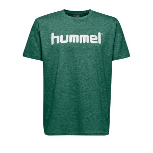 10124861-hummel-cotton-t-shirt-logo-gruen-f6140-203513-fussball-teamsport-textil-t-shirts.png