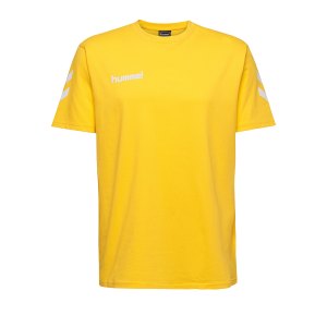 10124847-hummel-cotton-t-shirt-kids-gelb-f5001-203567-fussball-teamsport-textil-t-shirts.png