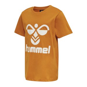 hummel-hmltres-t-shirt-kids-orange-f5993-204204-teamsport_front.png