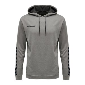 hummel-authentic-poly-hoody-grau-f2006-204930-teamsport_front.png