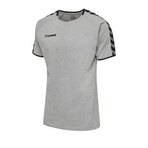 hummel-authentic-trainingsshirt-grau-f2006-205379-teamsport.png
