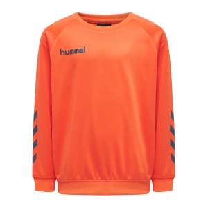 hummel-hmlpromo-poly-sweatshirt-kids-gruen-f3414-205875-fussballtextilien_front.png