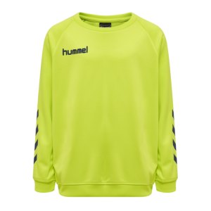 hummel-hmlpromo-poly-sweatshirt-kids-gruen-f6242-205875-fussballtextilien_front.png
