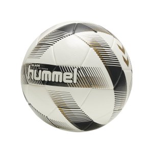hummel-blade-pro-trainingsball-weiss-f9152-207525-equipment_front.png