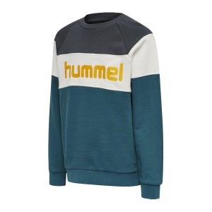 hummel-hmlclaes-sweatshirt-kids-blau-f7058-212445-teamsport_front.png