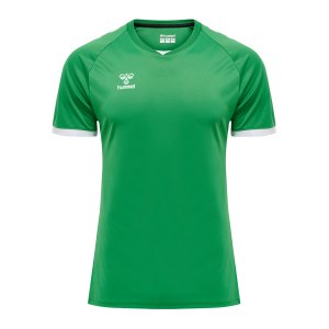 hummel-hmlcore-volley-t-shirt-gruen-f6235-213921-fussballtextilien_front.png