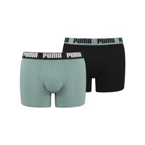 puma-basic-boxer-2er-pack-gruen-f048-521015001-underwear_front.png