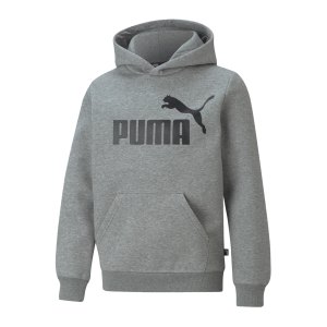 puma-essential-big-logo-hoody-kids-grau-f03-586965-lifestyle_front.png