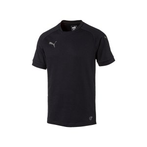 puma-ascension-tee-t-shirt-schwarz-f60-sportbekleidung-herren-men-maenner-shortsleeve-kurarm-shirt-654924.png