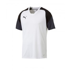 puma-esito-4-trainingsshirt-f04-fussball-training-shirt-sport-team-mannschaft-kids-655221.png