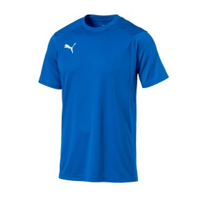 puma-liga-training-t-shirt-blau-f02-shirt-team-mannschaftssport-ballsportart-training-workout-655308.png