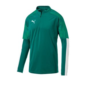puma-cup-training-1-4-zip-top-gruen-f05-fussball-teamsport-textil-sweatshirts-656016.png