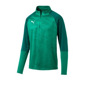 puma-cup-training-core-1-4-zip-top-gruen-f05-fussball-teamsport-textil-sweatshirts-656018.png