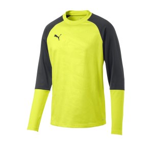 puma-cup-training-core-sweatshirt-gelb-f16-fussball-teamsport-textil-sweatshirts-656021.png