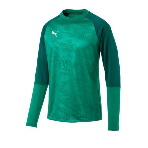 puma-cup-training-core-sweatshirt-gruen-f05-fussball-teamsport-textil-sweatshirts-656021.png
