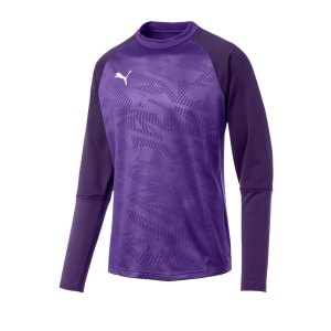 puma-cup-training-core-sweatshirt-lila-f10-fussball-teamsport-textil-sweatshirts-656021.png