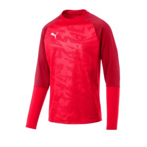 puma-cup-training-core-sweatshirt-rot-f01-fussball-teamsport-textil-sweatshirts-656021.png
