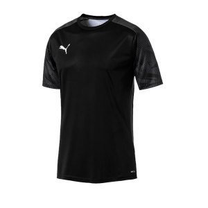 puma-cup-training-t-shirt-schwarz-f03-fussball-teamsport-textil-t-shirts-656023.png