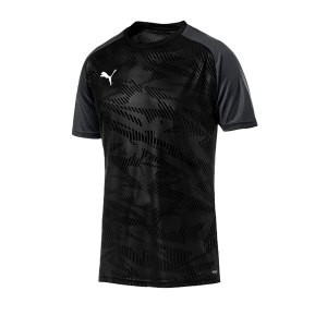 puma-cup-training-core-t-shirt-schwarz-f03-fussball-teamsport-textil-t-shirts-656027.png