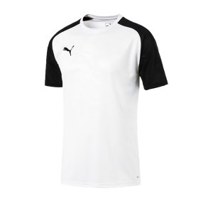 puma-cup-training-core-t-shirt-weiss-f04-fussball-teamsport-textil-t-shirts-656027.png