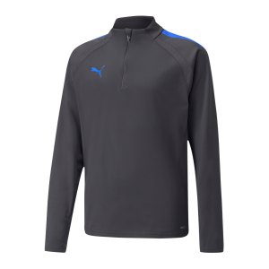 puma-teamliga-halfzip-sweatshirt-grau-blau-f44-657236-teamsport_front.png